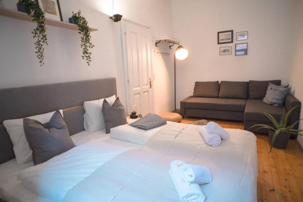 Cosy And Spacious Apartment In The Heart Of Innsbruck Ngoại thất bức ảnh